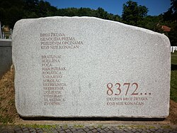 Imagen ilustrativa de Genocidio en Bosnia: Historia y Consecuencias