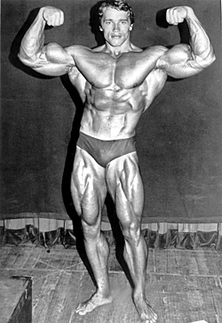Imagen ilustrativa de Culturismo: Guía Completa sobre el Desarrollo Muscular