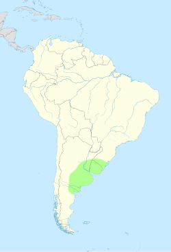 Imagen ilustrativa de Llanuras Pampeanas: Geografía, Clima y Ecosistema