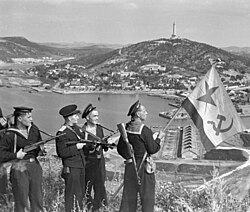 Imagen ilustrativa de Brigada Naval: Fuerzas Navales en Combate Terrestre