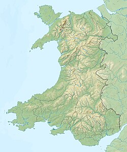 Imagen ilustrativa de Abadía de Strata Florida: Historia y Ruinas en Gales