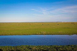 Paisaje típico de las llanuras pampeanas