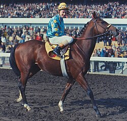 Imagen ilustrativa de Northern Dancer: El Legendario Semental y Campeón de Carreras