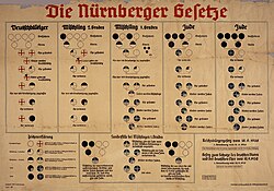Imagen ilustrativa de Teorías Raciales Nazis: Ideologíay el Holocausto