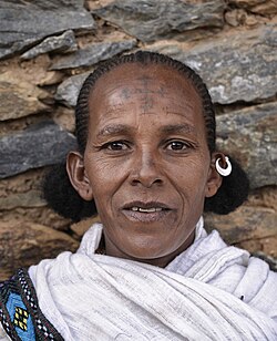 Imagen ilustrativa de Los Pueblos Habesha: Historia, Cultura e Identidad