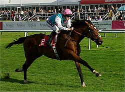 Imagen ilustrativa de Frankel: El Caballo de Carreras Imbatible y Leyenda del Turf