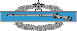 Imagen ilustrativa de Insignia del Infante de Combate: Historia y Requisitos