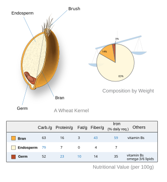 Imagen ilustrativa de Granos Enteros: Beneficios, Tipos y Nutrición