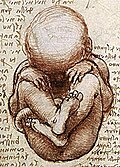 Imagen ilustrativa de El Proceso de Envejecimiento: Causas, Signos y Teorías