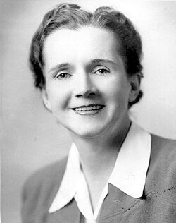 Imagen ilustrativa de Rachel Carson: Pionera de la Conservación y el Medio Ambiente