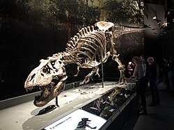 Muestra de la colección de Naturalis